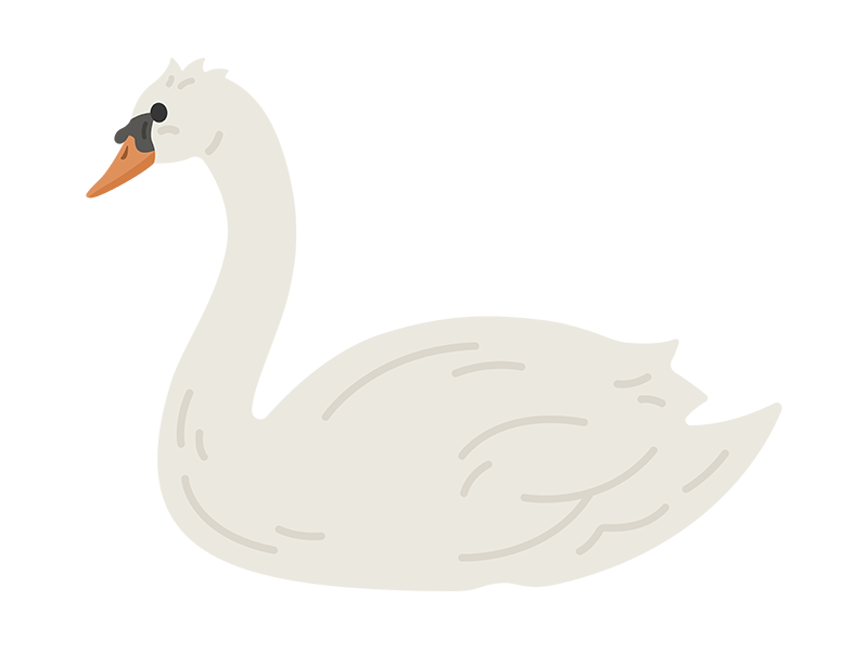 swan